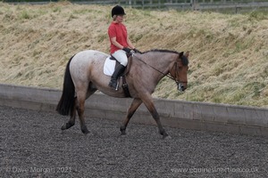 ISIS Dressage Challenge 2008